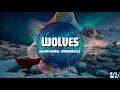 Lagu Selena Gomez \u0026 Marshmello – Wolves (Remix 2025) | Best Future Rave Mix 🔥 | EDM Festival Anthem 💥