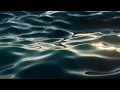 Second - Hey (s l o w e d + r e v e r b)