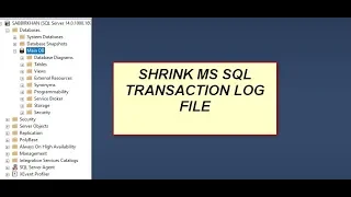 How to LDF File Size using SQL Management Studio