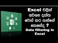 How to use data filter in Excel Sinhala