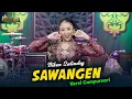 Lagu NIKEN SALINDRY - SAWANGEN - Kembar Campursari ( Official Music Video )