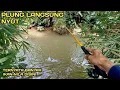 Lagu Hujan Deras Saat Lagi Asik Mancing Sama Bapak 