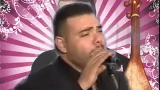                                       دندنها