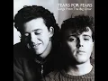 Download Lagu AI TEARS FOR FEARS #1981