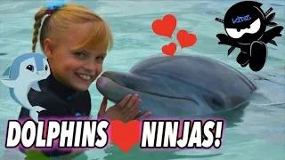 We Played And Swam With Dolphins Bahamas II Ninja Kidz TV 