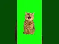 Download Lagu Cats evil laughing meme | Green Screen #greenscreen MP3
