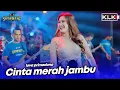 Lagu CINTA MERAH JAMBU - LOVA PRIMADONA - LIVE SIMPATIK MUSIC KLK AUDIO - PRIGEN PASURUAN