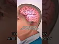The Most Dangerous Medication For Nerve Pain