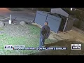 Rockford police search for suspect in Mulligan s burglary