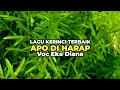 Download Lagu Lagu Kerinci Terbaik APO DI HARAP || Voc Eka Diana