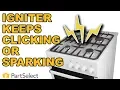 Troubleshooting Igniter Keeps Clicking or Sparking PartSelect com