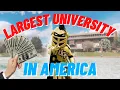 How Expensive is UCF Tuition housing food etc