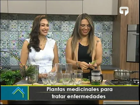 Plantas medicinales para tratar enfermedades