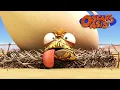 Baby Chicken Oscar COMPILATION | Oscar's Oasis | Kids Cartoons