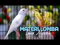 Download Lagu SUARA KENARI MATERI LOMBA ISIAN MEWAH - MASTERAN KENARI ISIAN CIBLEK PRENJAK GLATIK