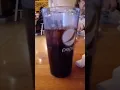 muddy moose food