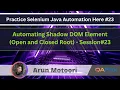 Selenium Java Automation - Practical Demonstration series on different websites Shadow DOM