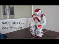 How to program the NAO robot using a local module in C