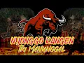 Download Lagu Dj Bantengan Banyuwangi NYONGGO KANGEN || TRI MANUNGGAL P.Sokip full MBEROT