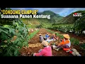 Download Lagu NIKMAT TIADA TARA, SARAPAN DI LADANG KENTANG APAPUN MAKANANNYA TETAP NIKMAT