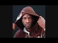 9ice-Beremi