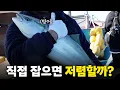 값비싼 대방어, 직접 잡으면 저렴할까? 인당 14만원 대방어 낚시 체험배를 타고 왔습니다!