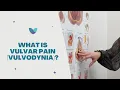 Download Lagu Vulvar Pain Vulvodynia   Causes, Symptoms, and Treatments   Pelvic Rehabilitation Medicine