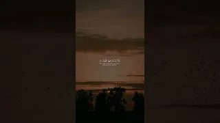 عمر بن ضياء الدين سورة فاطر وقالوا الحمدلله الذي اذهب عنا الحزن قران عمر بن ضياء الدين تلاوه 