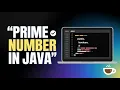 Prime Number in Java Explained Beginner Friendly Java Coding Tutorial