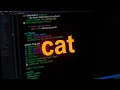 Linux Cat Command Tutorial All Flags Examples Explained for Beginners