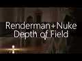 Renderman Nuke and Depth of Field