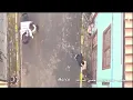 نصرت البدر ❤️   /   خلص عمري