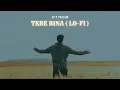 Download Lagu Tere Bina | Most Heart Touching Love Song 2025 | New Bollywood Romantic Lofi Vibes