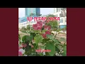 Download Lagu Ku Tetap Cinta