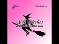 Flying to the First Pick Again Again Wild Witches Fantasyland