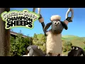 Download Lagu Rings 💫 Championsheeps 🐑 Shaun the Sheep #sport #ShaunTheSheep