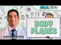Body Planes Sections