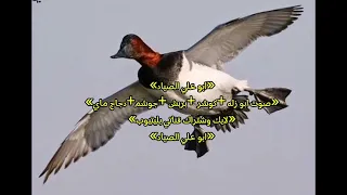 صوت ابو زله بربشه كوشر جوشم دجاج ماي شتركو بالقناه لايك 