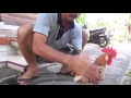Download Lagu Dek Ulik - Somahe Bebotoh (Unofficial Music video) | Kusuma's Family