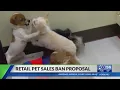 Retail pet sale ban being considered in Lexington