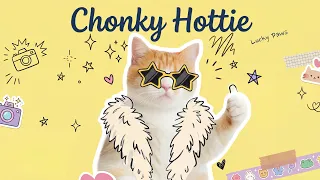 Lucky Paws -『Chonky Hottie』(Official MV)