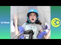 Download Lagu 2 HOUR Best The Bee Family Vines Compilation | Funny Eh Bee Family Vines