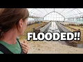 Download Lagu My sheep FLOODED the barn... (again.)