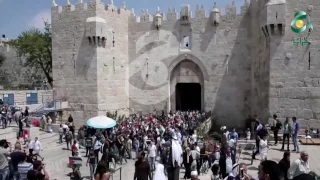 إستقلال فلسطين هدف لم يصل الى نهايته 