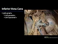 Inferior Vena Cava - Duodenum Pancreas and Abdominal Aorta SDV