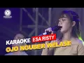 Download Lagu Esa Risty - Ojo Nguber Welase  (Karaoke Version)