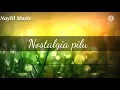 Lagu JUNAIDA TERBARU - NOSTALGIA PILU (Official Lirik Musik Video)