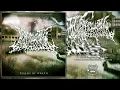 Download Lagu Disarticulating Extinguishment - Psalms of Wrath [Full EP] (Slamming Brutal Death Metal - 2011) 