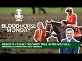 Nearly Was Clearly Best in Holy Bull Full Field Ready for Southwest BloodHorse Monday E053