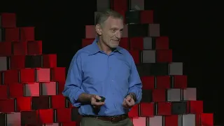 Estudo de Harvard sobre Felicidade. What Makes a Good Life? TED Robert Waldinger